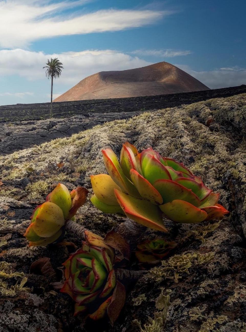 Lanzarote Casa Volcanica-Anclada Sobre La Lava Del Volcan Montana Blanca Exterior foto